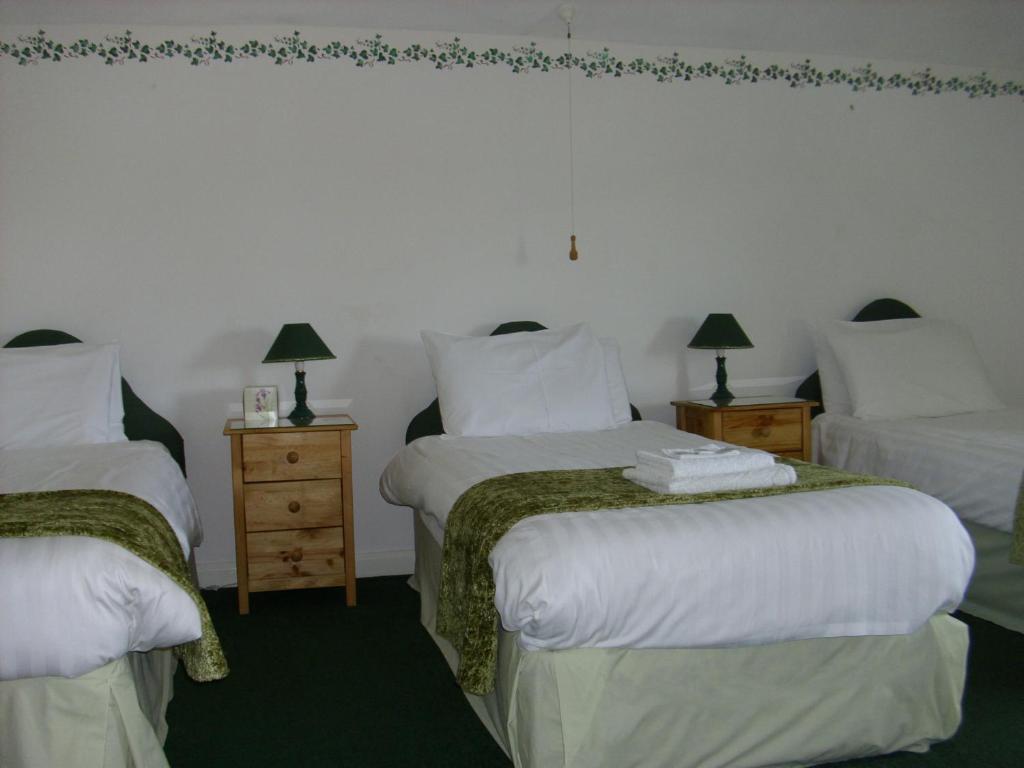 Ty Llew Hotel Llandysilio Cameră foto