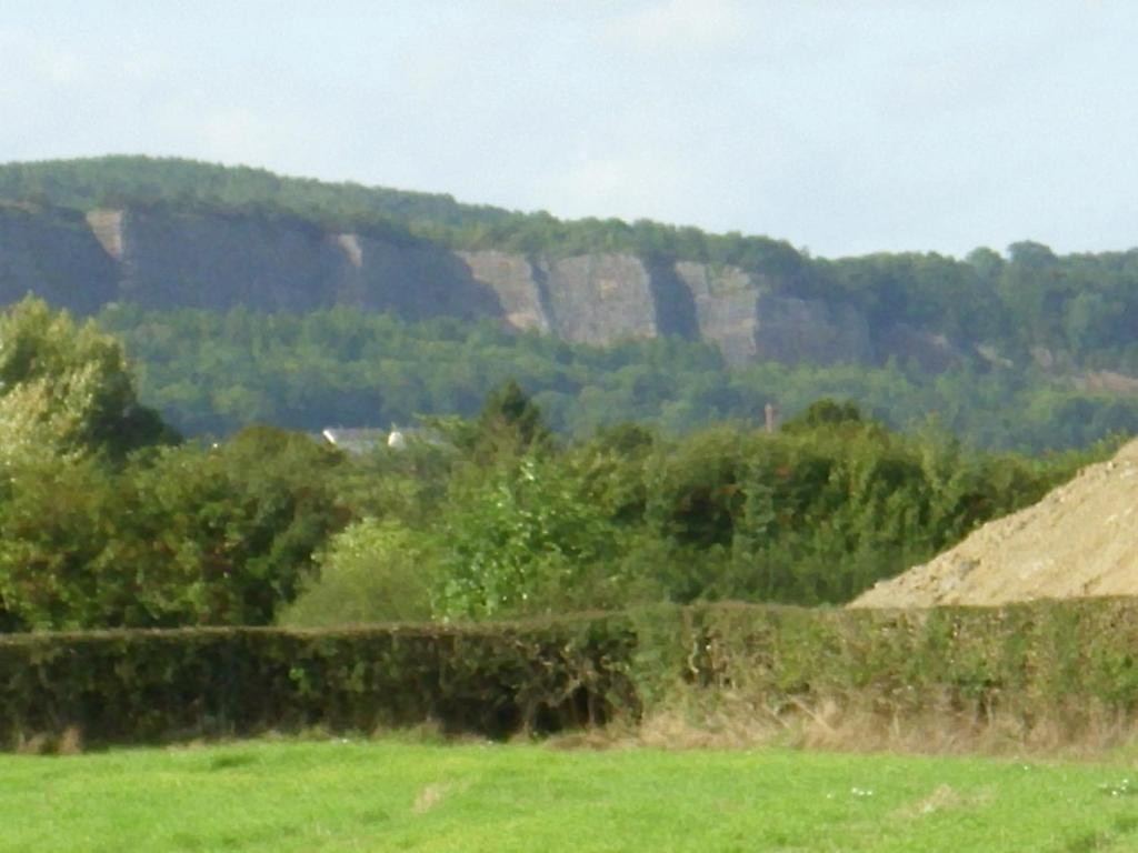 Ty Llew Hotel Llandysilio Cameră foto